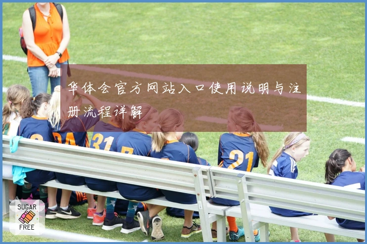 华体会官方网站入口使用说明与注册流程详解